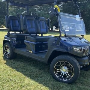 NEW-EVOLUTION-D5-RANGER-MEDITERRANEAN-BLUE-golf-cart-rear-view