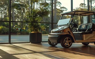 Find Trusted Denago Golf Cart Dealers Near You