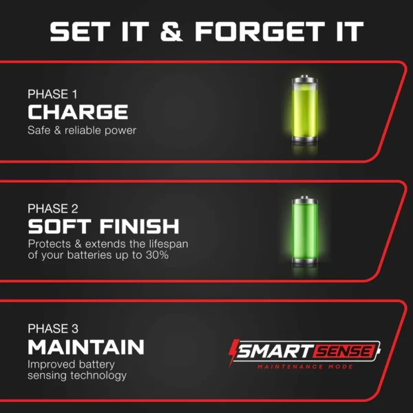 FORM 48 Volt Golf Cart Battery Charger for Club Car Precedent & DS - 48V Lead Acid - PRO VERSION - Image 5